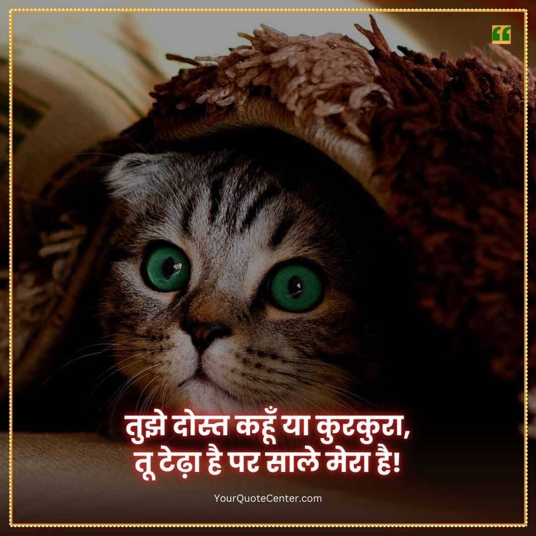 Funny Shayari In Hindi