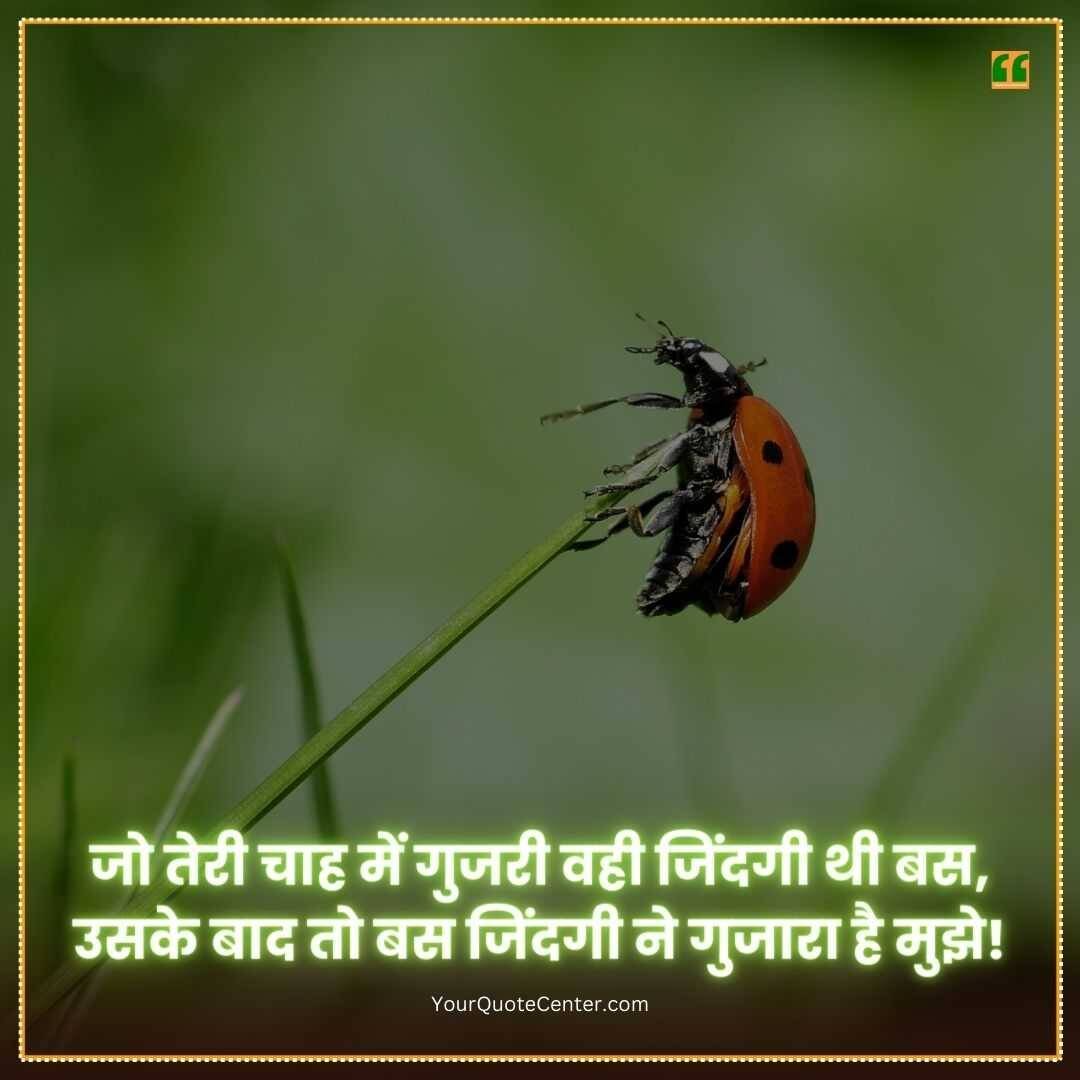Shayari On Life In Hindi