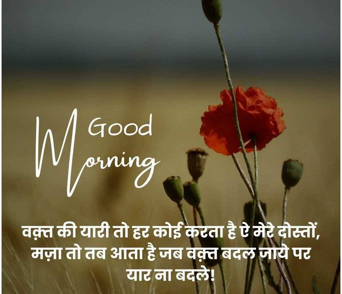 Dosti Good Morning Shayari - image 21