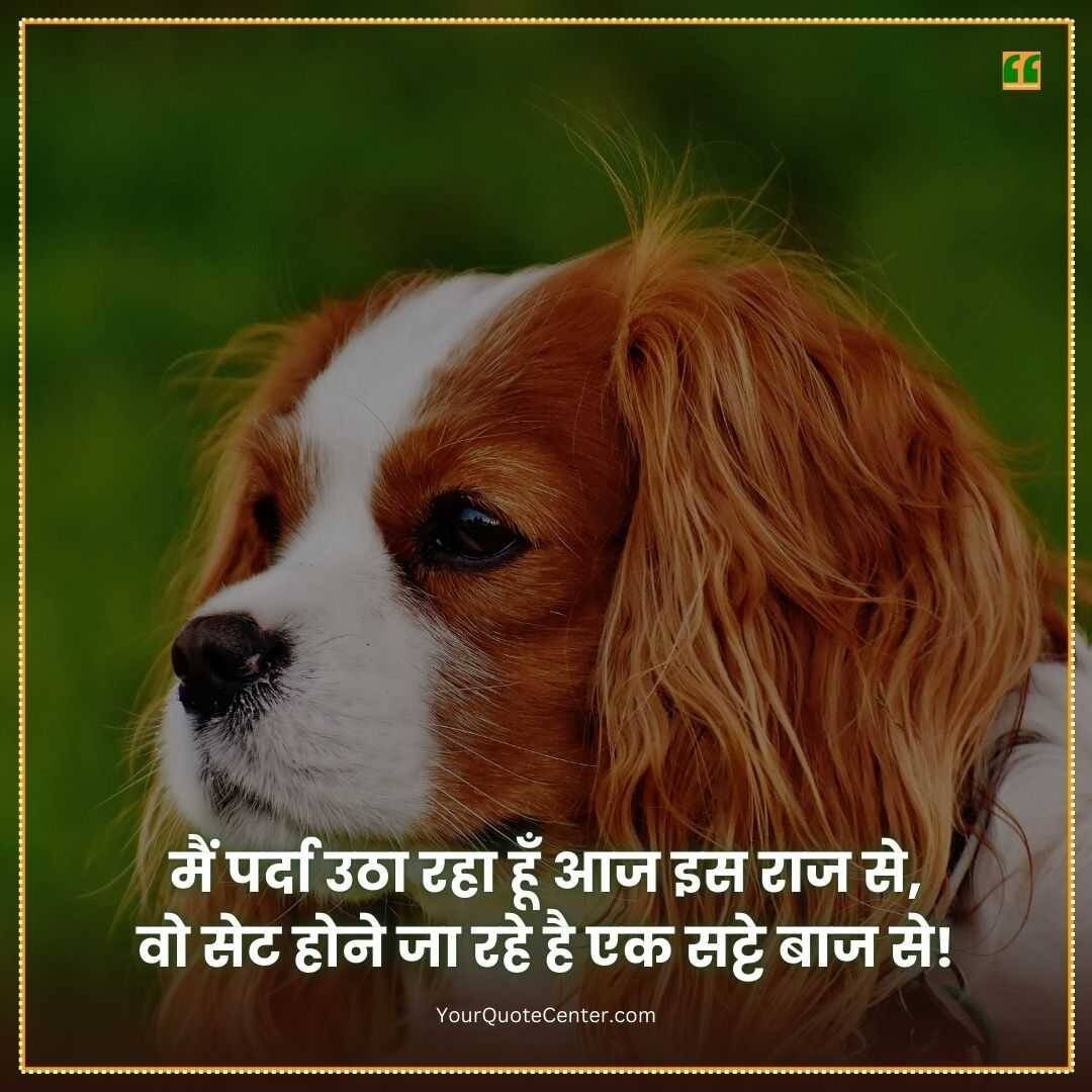 Funny Shayari In Hindi