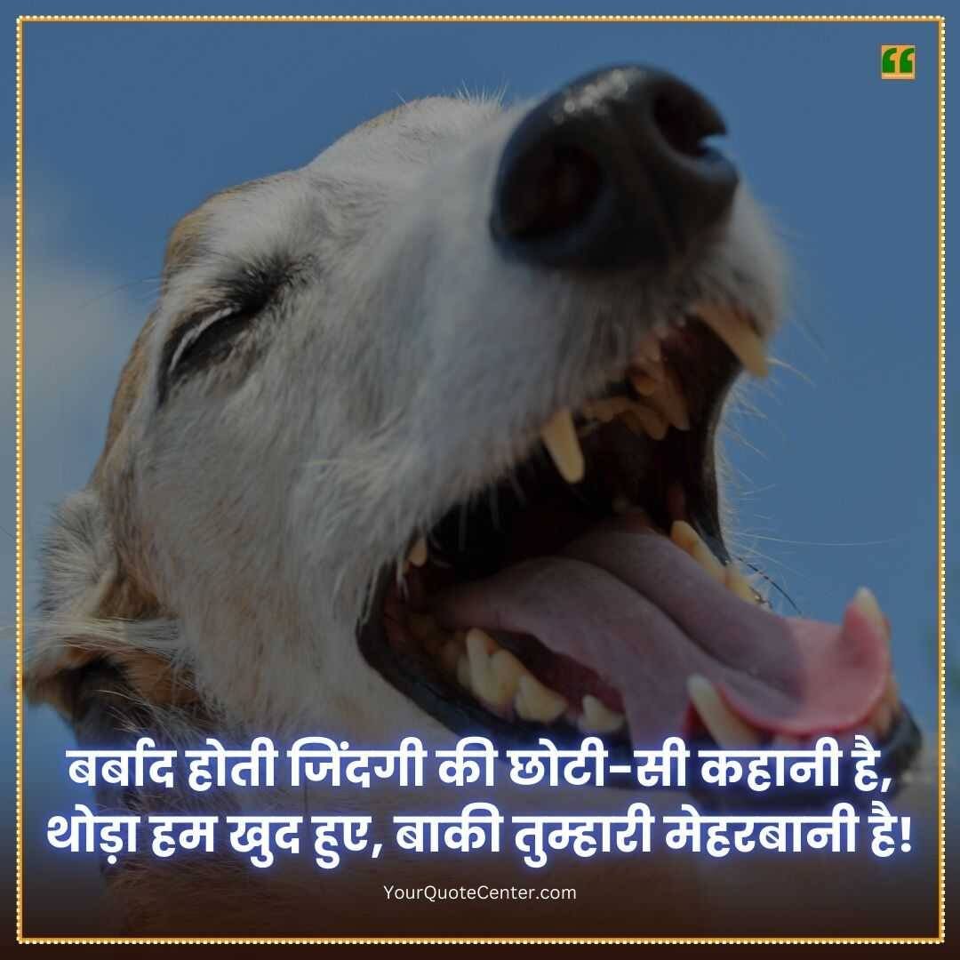 Funny Shayari In Hindi