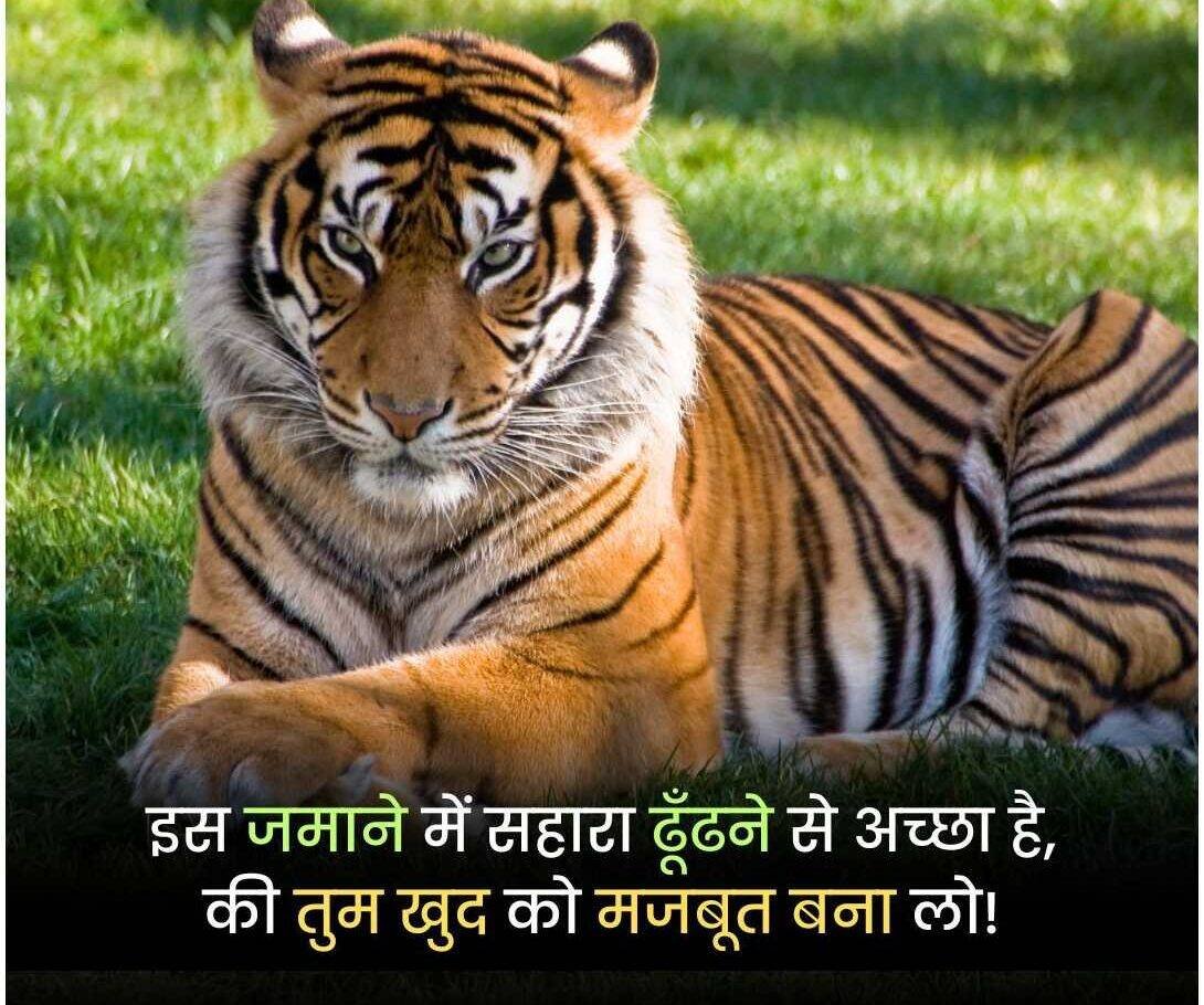 Motivational Shayari In Hindi