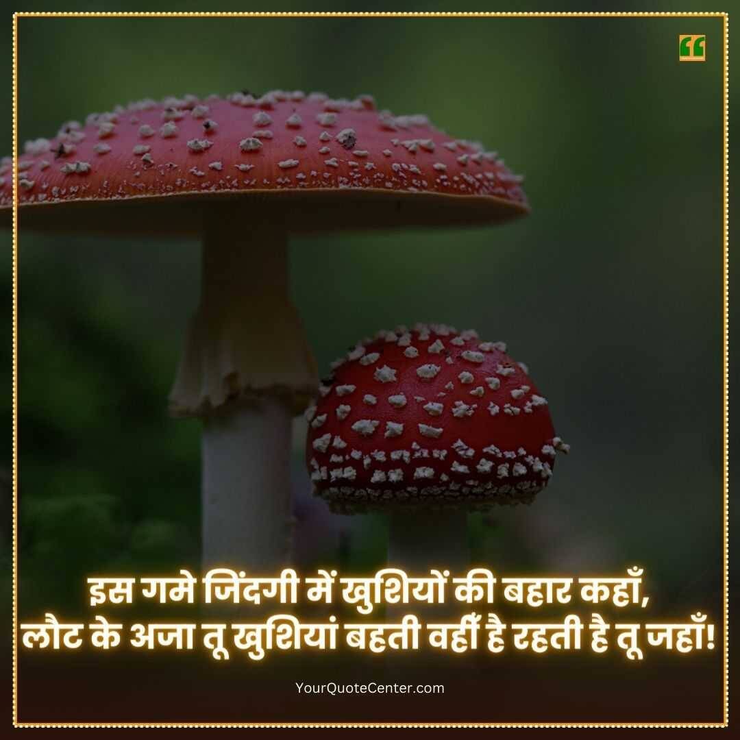Zindagi Shayari In Hindi